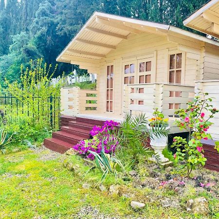 Vacation Home Apsar New Athos Buitenkant foto