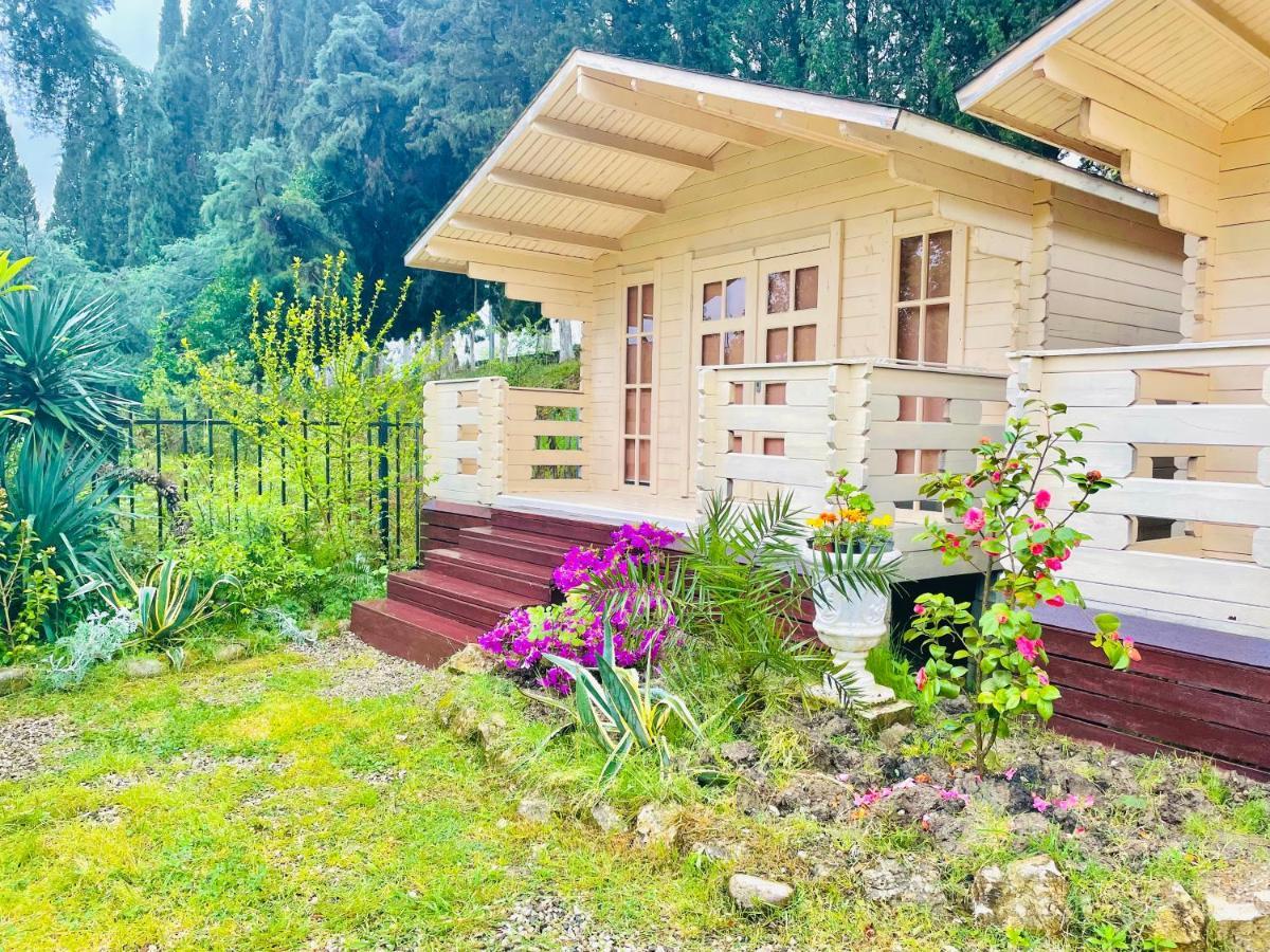 Vacation Home Apsar New Athos Buitenkant foto